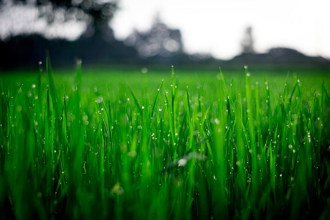 idee design interieur Blogue